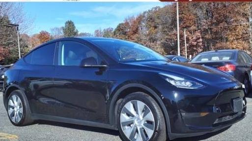 TESLA MODEL Y 2021 5YJYGDEE5MF077125 image